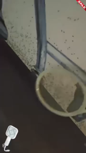 Foldable Electric Fly Swatter Rechargeable Mosquito Swatter Fly Killer and Mosquito Trap Lamp for Indoor and Outdoor