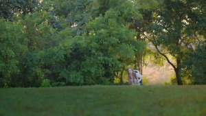 GROTIC Kipas Angin Portable Mini Fan Turbo 100 Kecepatan Digital Display 36000mAh