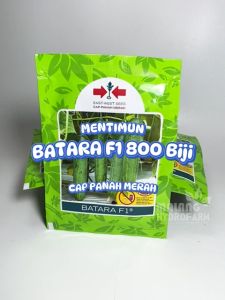 Benih Mentimun Batara F1 800 biji Cap Panah Merah dataran rendah menengah unggul bibit biji sayur timun ketimun hidroponik