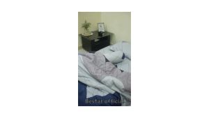 Bedcover Set Sprei Motif kenzo Aesthetic Paket Kumplit BIGSALE!!!