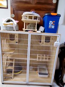 เครื่องมือทำเสริมยอดของแมว ตู้โชว์แมว ขนาดชั้นเล็ก สามารถเก็บกระบะทรายแมวรวมถึงอาหาร สำหรับบ้านแมวขนาดใหญ่