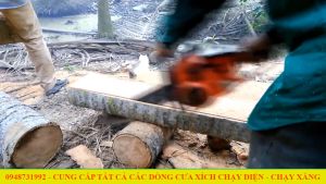 Máy Cưa Xích Dùng Điện QUAIYOU QY5017 - Hàng Nội Địa Cao Cấp - Công Suất 1800W - Bảo Hành 6 Tháng