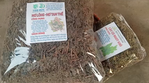 100g cây mơ lông tam thể sấy khô TẶNG 50G CỎ NGỌT