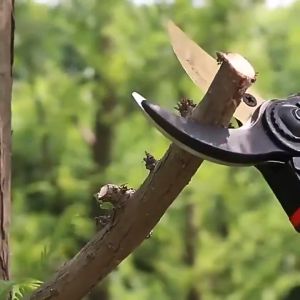 BISA COD!!!!Tang Penggunting Daun Bunga Tangkai Pohon | Tang Super Tajam | Perlengkapan Berkebun