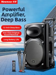 Newman B12 Portable Outdoor Bluetooth Speaker with Dual Microphones for Square Dancing And Karaoke High Bass Stereo Sound