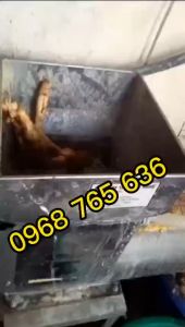 Máy xay nghiền nghế sắn dây liên hoàn