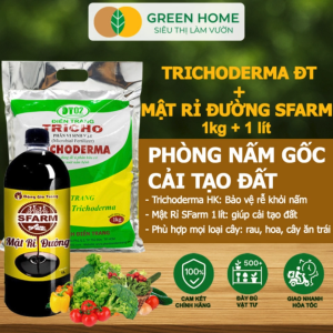 Combo Nấm Đối Kháng Trichoderma 1kg Và Mật Rỉ Đường Sfarm 1kg Greenhome Ủ Phân Bón Ủ Đậu Nành Ủ Rác Thải Nhà Bếp