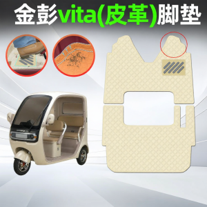 Electric Tricycle Floor Mat & Seat Cover