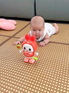 Đồ Chơi Hoạt Hình Giúp Trẻ Tập Bò Đồ Chơi Giáo Dục Cho Trẻ Sơ Sinh Đồ Chơi Nhún Nhảy Dụng Cụ Luyện Tập Đầu Đồ Chơi Búp Bê Plush