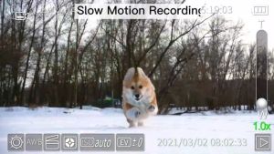 Canon Technical Support กล้องใหม่ 4.8K กล้อง WiFi 5 ปี เลนส์ฟรี 52 มม. การ์ดหน่วยความจํา 32G