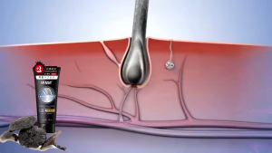 Shampo Penghitam Rambut Uban Menjadi Hitam Permanen Sampo Penghilang Uban Shampoo Uban Menjadi Hitam Black Herbal Natural Ganoderma Hitam Hair Blackening / Vitamin Rambut 200ml