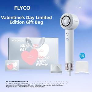 FLYCO | Negative Ions Home Use Student Hair Dryer