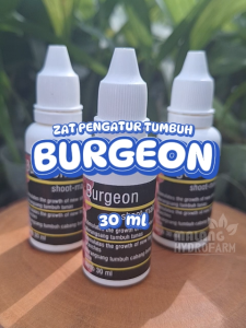 Burgeon Shoot Maker 30 ml hormon 6-BAP 6 BAP Benzylaminopurine hijau pupuk tetes tunas bunga keikivick cair