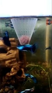 Aquarium Red Worm Feeding Cup Shrimp Food Feeding Plastic Funnel Conical Cup With Suction Cup