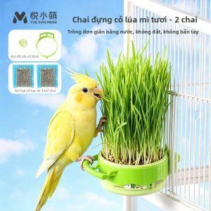 YUEXIAOMENG | Thức Ăn Lúa Mì Non Tươi Cho Vẹt