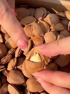 Hand Cracked Light Shell Roasted Almonds Unflavored