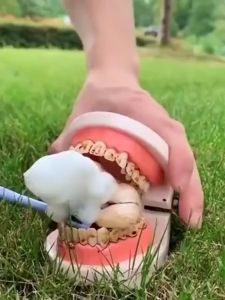 Whitening Probiotic Toothpaste Deodorizing Tooth Stain Removal fresh breath and bad breath removal active peptide toothpaste 60ml