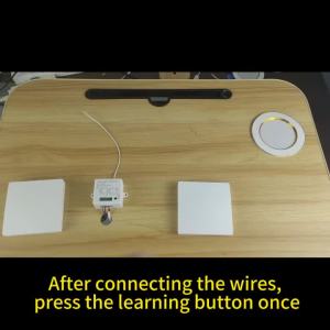 RF Wireless Smart Light Switch Without Neutral 433Mhz Relay Receiver AC 220V 110V Mini Module Remote Control