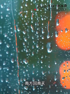 Activated Charcoal Formaldehyde Remover/ Nano Mineral Crystal/ Home Air Freshener/ Deodorizer Odour Removal/ Moisture-Absorber/ Prevent Dampness Carbon Bag For Wardrobe/C