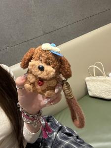 Fall Winter Plush Cartoon Bell Sausage Dog Compatible AirPods4 Protective Case AirPodsPro  Earphone Cover Wireless Bluetooth Soft Silicone New Third Generation Female Model