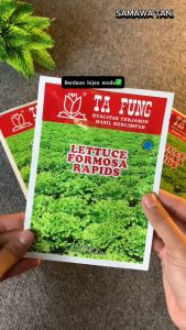 Benih Bibit Salada Bokor Selada Keriting Lettuce Formosa Rapids Ta Fung 10 gr