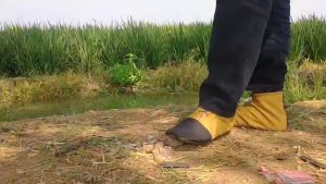 Sepatu Sawah Anti Keong dan Duri