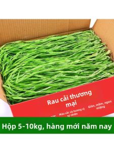 High-Quality Hotpot Ingredient Dried Cai