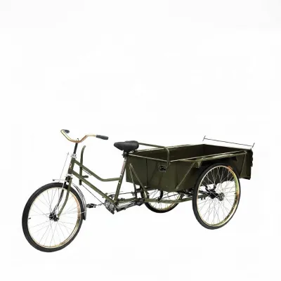 Adult Foot-Powered Three-Wheel Cargo Bicycle Human-powered Stepless Electric Assisted Tricycle Elderly Commuter Vehicle