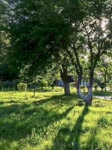 Mobi Garden | Portable Folding Chair