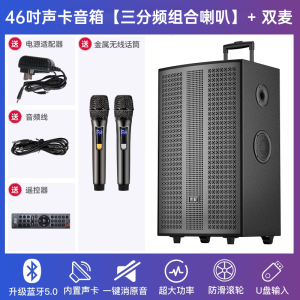 Sony Square Dance Bluetooth Outdoor Karaoke Speaker High Power Volume Professional Performance Built-in Sound Carriage