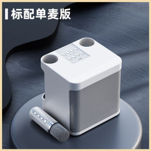 Family KTV Audio Microphone Integrated TV Karaoke Projector WeSing Wireless Microphone Kids Singing