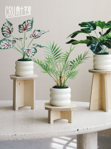 Mini Potted Fake Flower Tortoise Back Leaf Living Room Office Desktop Tea Table Bonsai Decoration Green Plant Decorations