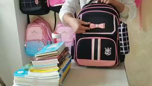 Tas Sekolah Anak Karakter: Tas Sekolah Praktis dan Nyaman