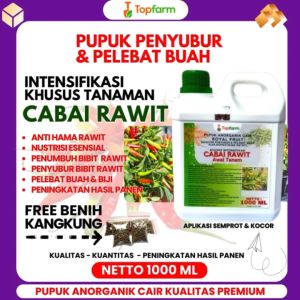 Pupuk Topfarm dan Pupuk Cabe Rawit Awal Tanam