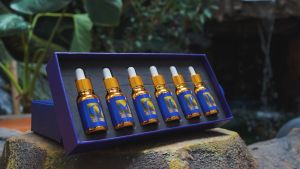 All NEW Trisula Maut by Cepy Yanwar | Essen Premium | 6 Botol Kemasan Essen Umpan Pancing OM CEPY