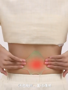 Julien Back Pain Patch Relief Lumbar Vertebra Patches Herbal Patch Extract Reduce Back Pain Patch