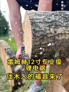 6 นิ้ว/12 นิ้ว ใบเลื่อยโซ่ สากล เหมาะสำหรับเครื่องตัด เลื่อยกิ่งไม้สูง รอเลื่อยครับ ทนต่ออุณหภูมิสูง ทนทานต่อการสึกหรอ ออกแบบมาโดยเฉพาะสำหรับเลื่อยโซ่ยนต์ลิเธียมไอออน คาร์ไบด์ซีเมนต์