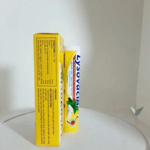 Viên ngậm Lysovacin giúp hỗ trợ ôn phế thông mũi mát họng giảm họ giảm đờm – hộp 24 viên