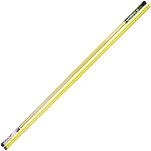 PGM GOLF | Golf Training Direction Stick Practice Rod