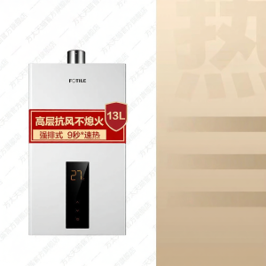Rapid Heating Constant Temperature Gas Water Heater
