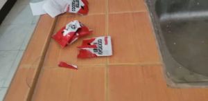 Cockroach Control Solutions: Effective Extermination Techniques