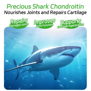 Xvet Dr Pet Shark Chondroitin Calcium Tablets for Cat and Dog Supplement Strong Bone Calcium Vitamin Joint Supplement Vitamin