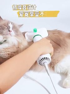 Pet Hair Dryer 2 in 1 Professional Brush Removal Comb For Grooming Furry Drying Blower For Cat Dog