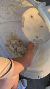 Khuôn đúc chậu cảnh Tròn 70 Chất liệu nhựa ABS cao cấp Dùng làm chậu cây cảnh xi măng ngoài trời