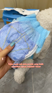 Honeycare dog health pants rapid absorption dog diapers female diaper pet pull up pants a whole box 24 bags 10 pcs per bag XS-XL Size 宠物舒适拉拉裤狗狗生理裤尿不湿母狗月经裤24包