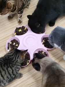 Multiple Cat Plate Bowl Petal Shaped Six Compartment Pet Dinner Bowl Multi cat Family Feeding Bowl