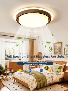 RUILUO | Retro Style Eye-protecting Quiet LED Ceiling Light