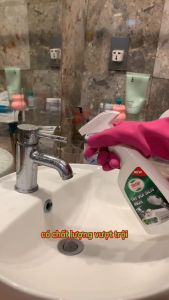 Tẩy sen vòi inox 510gr tintin