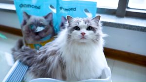 Diamaond Feline รุ่น Solid Clump ทรายแมวภูเขาไฟ 7 Kg.