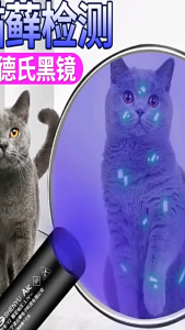 365nmUV purple light flashlightbanknote inspection lampcat moss lampjadeite identificationjade flashlight Tahan lama